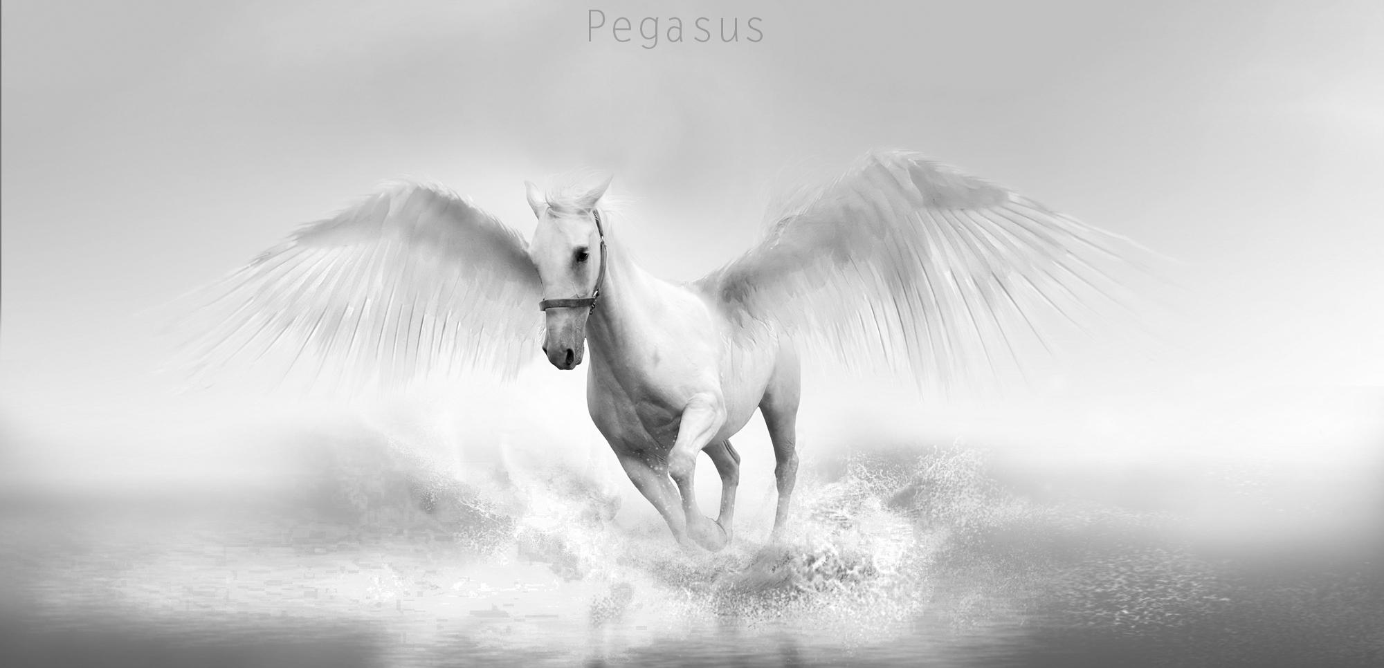 Pegasus Desktop Wallpaper HD Wallpaper, HD Pics
