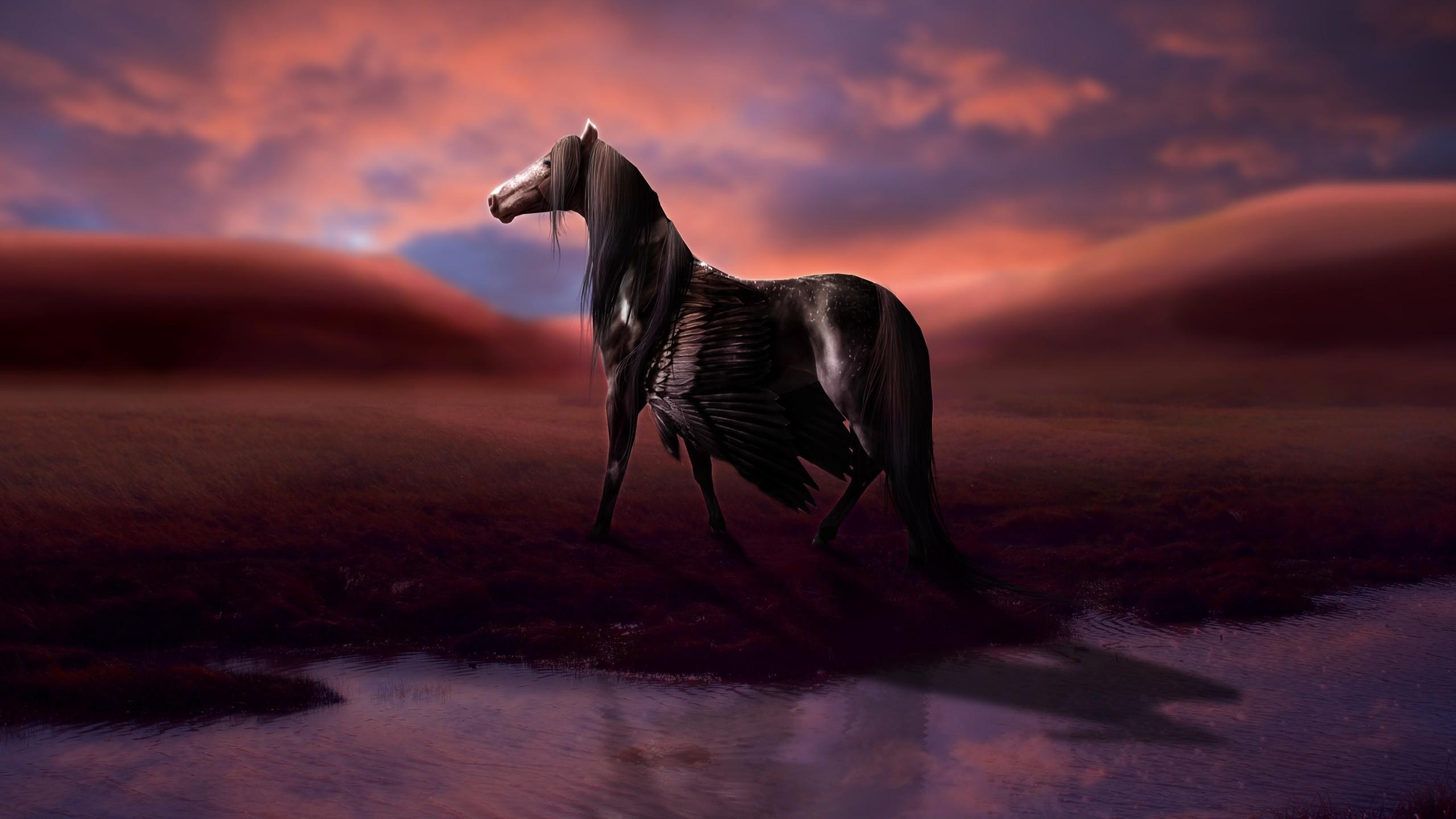 Pegasus Wallpaper background picture