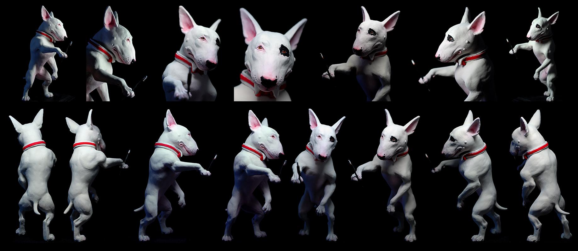 Bull Terrier Wallpaper 88923