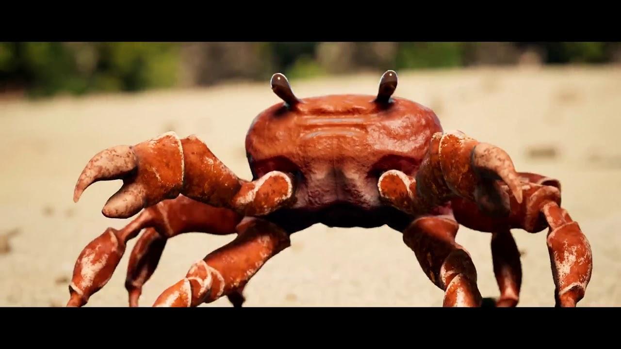 Crab Rave [Dancing Crabs ]