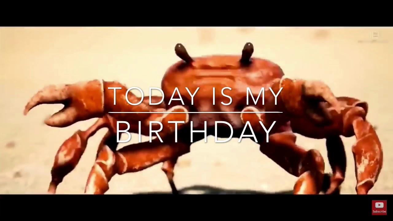 Crab Birthday Meme