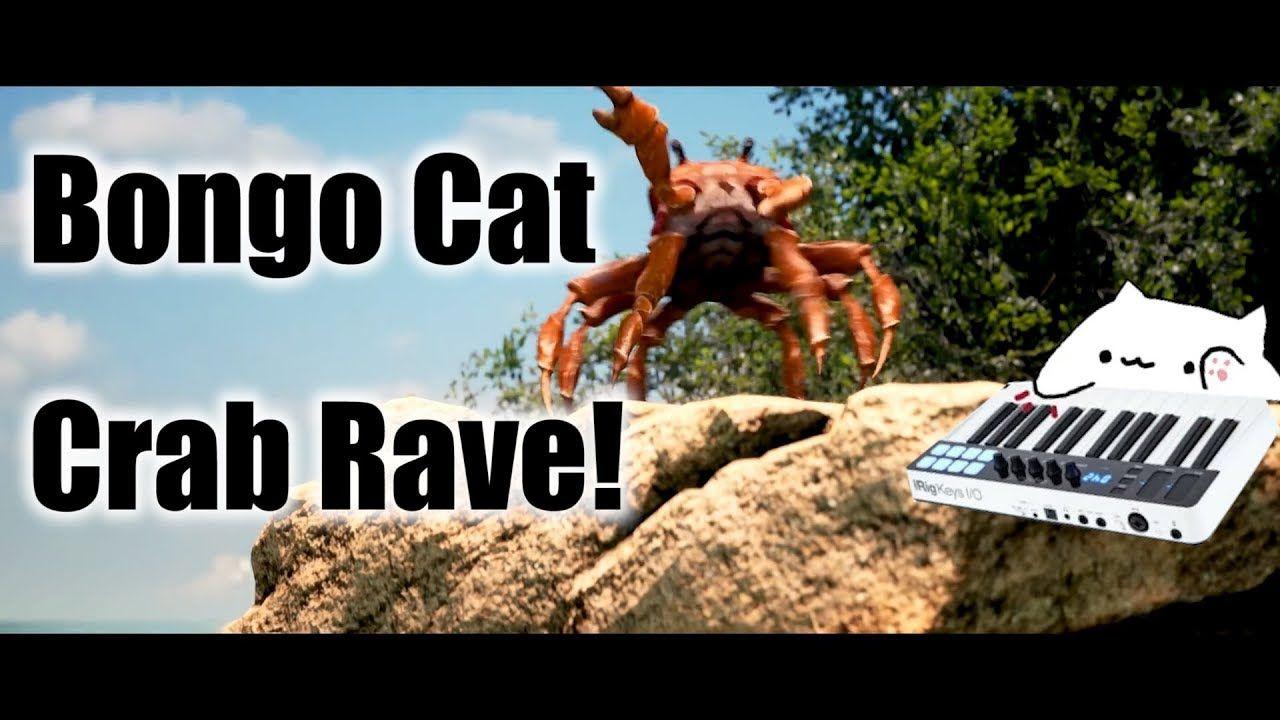 DJ Bongo Cat Rave Meme Remix. Pewdiepie Fans. Rave meme