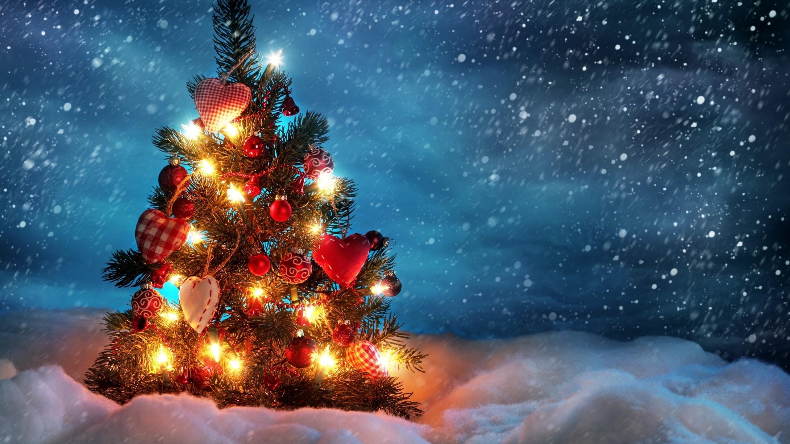 Download 2560x1440 Christmas Tree, Lights, Snow, Winter Wallpaper