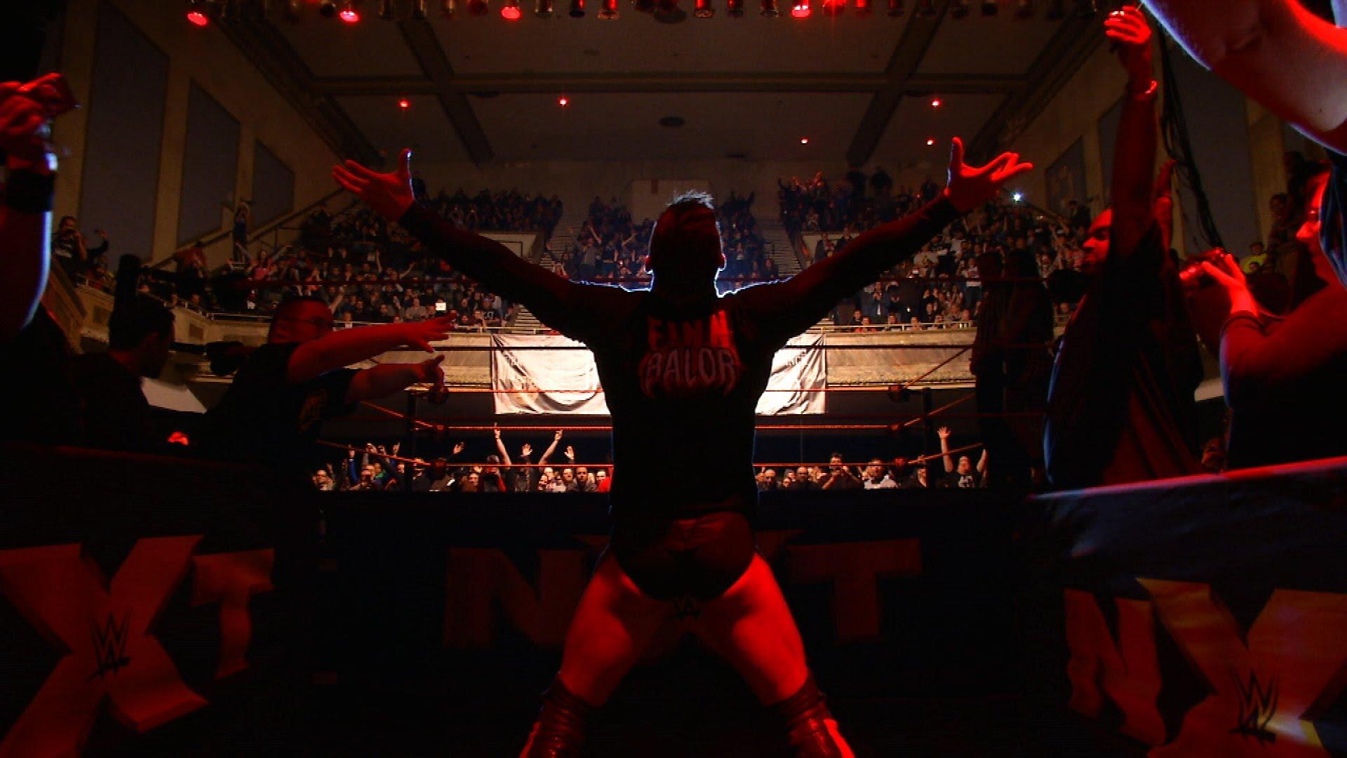 Finn Balor HD Wallpaper Group , HD Wallpaper