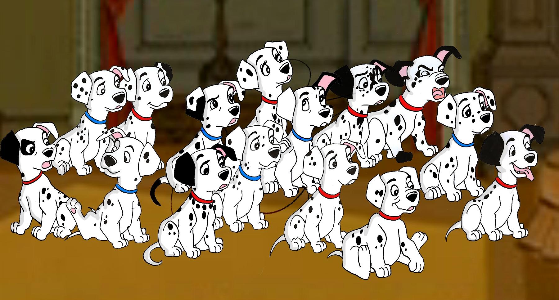 Dalmatian Puppies Background for Tablet