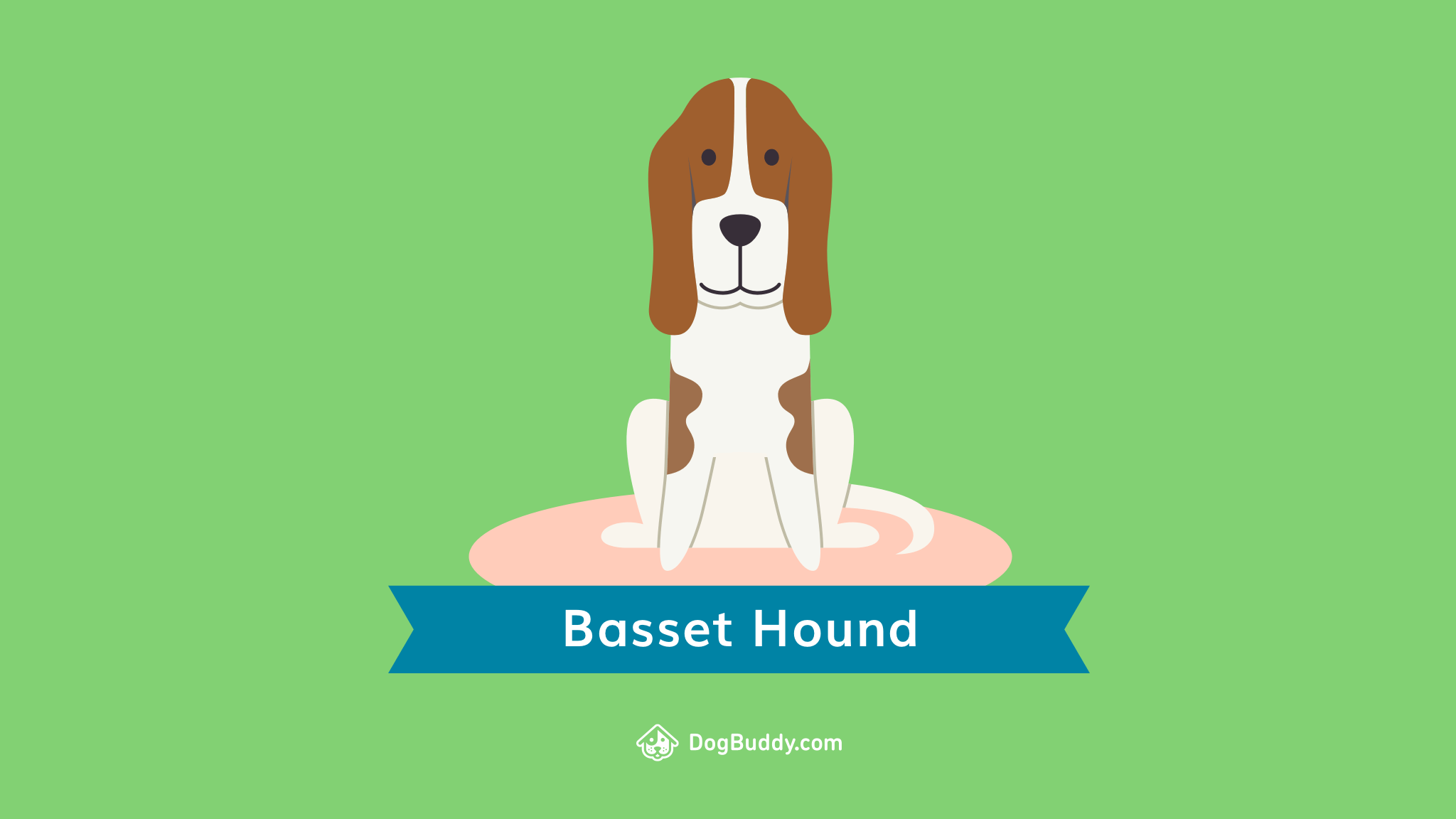 Woofpaper: Basset Hound