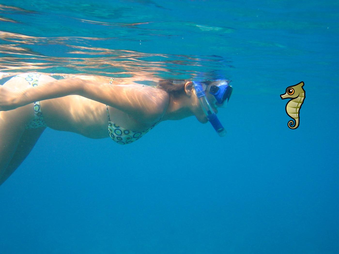 Seahorse with Snorkeler Desktop Wallpaper