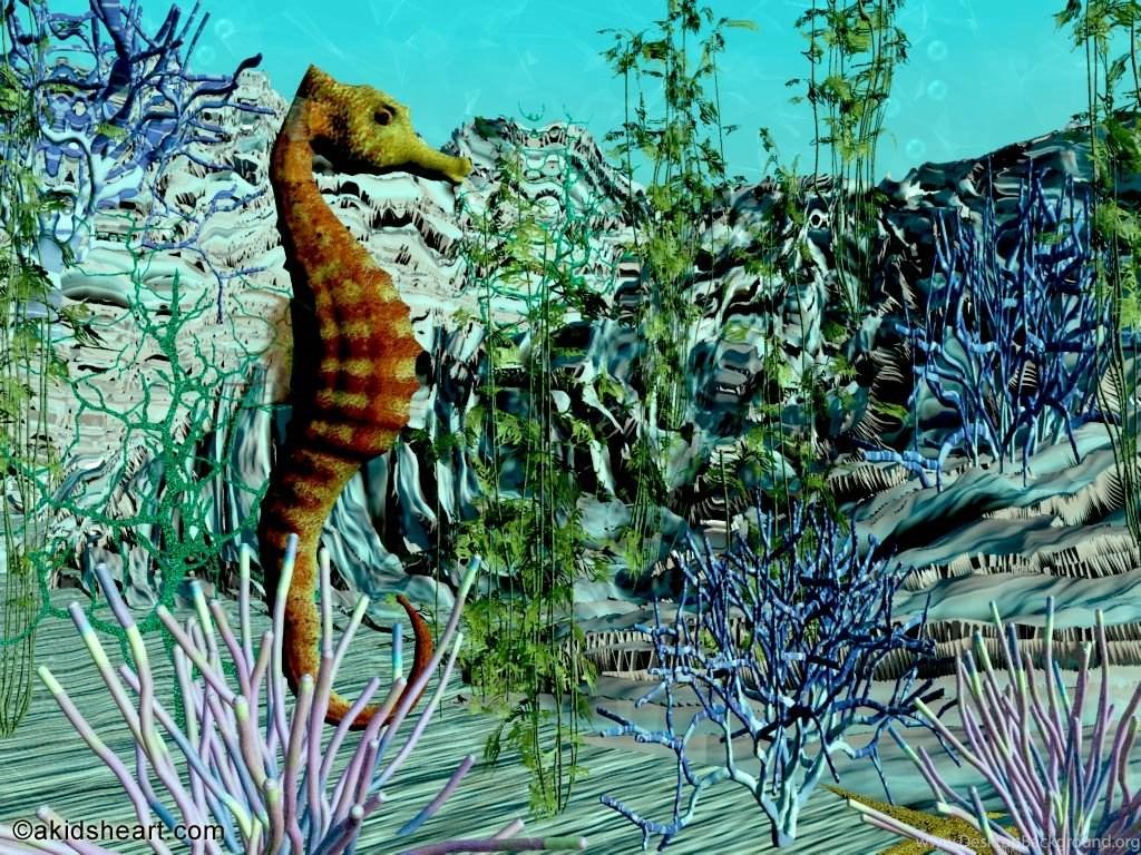 Seahorse Desktop Wallpaper Desktop Background