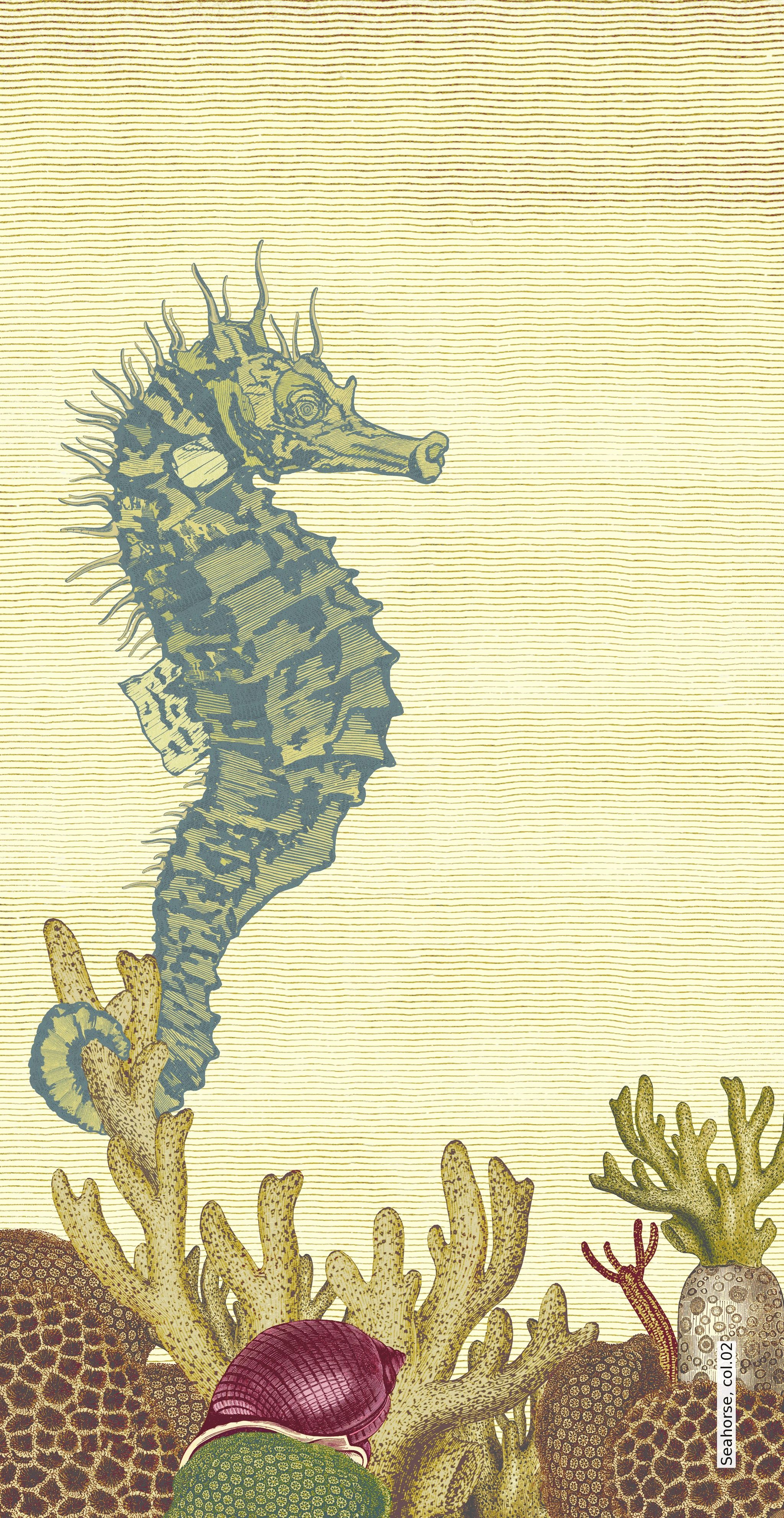 Seahorse Wallpapers - Wallpaper Cave