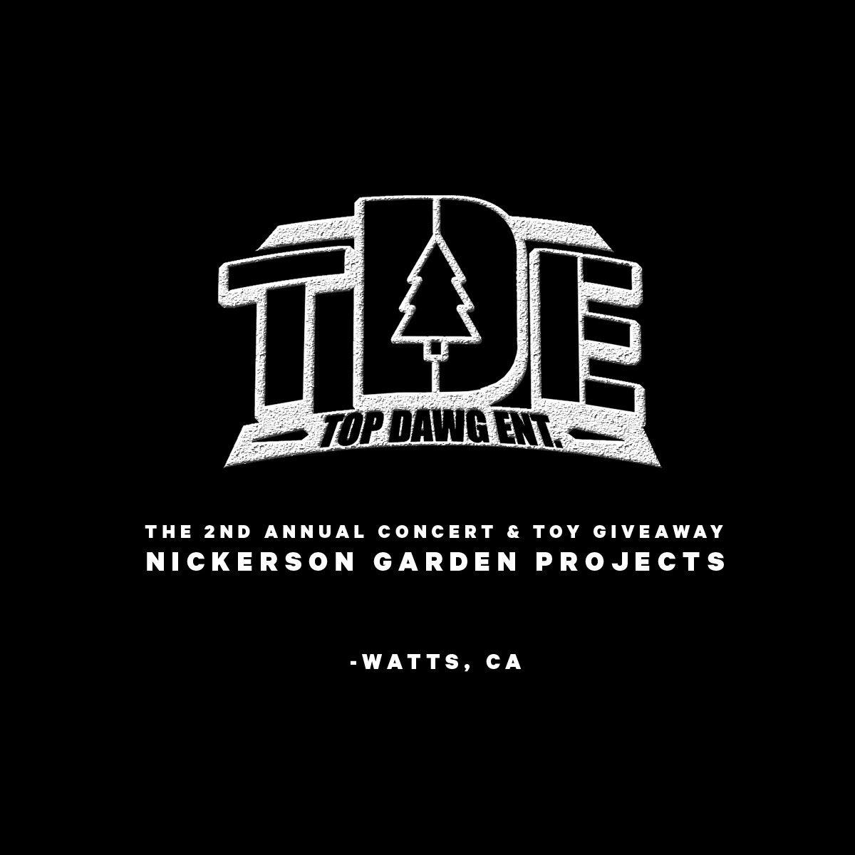 2ND ANNUAL TDE CONCERT & TOY GIVEAWAY (RECAP). visual shorts
