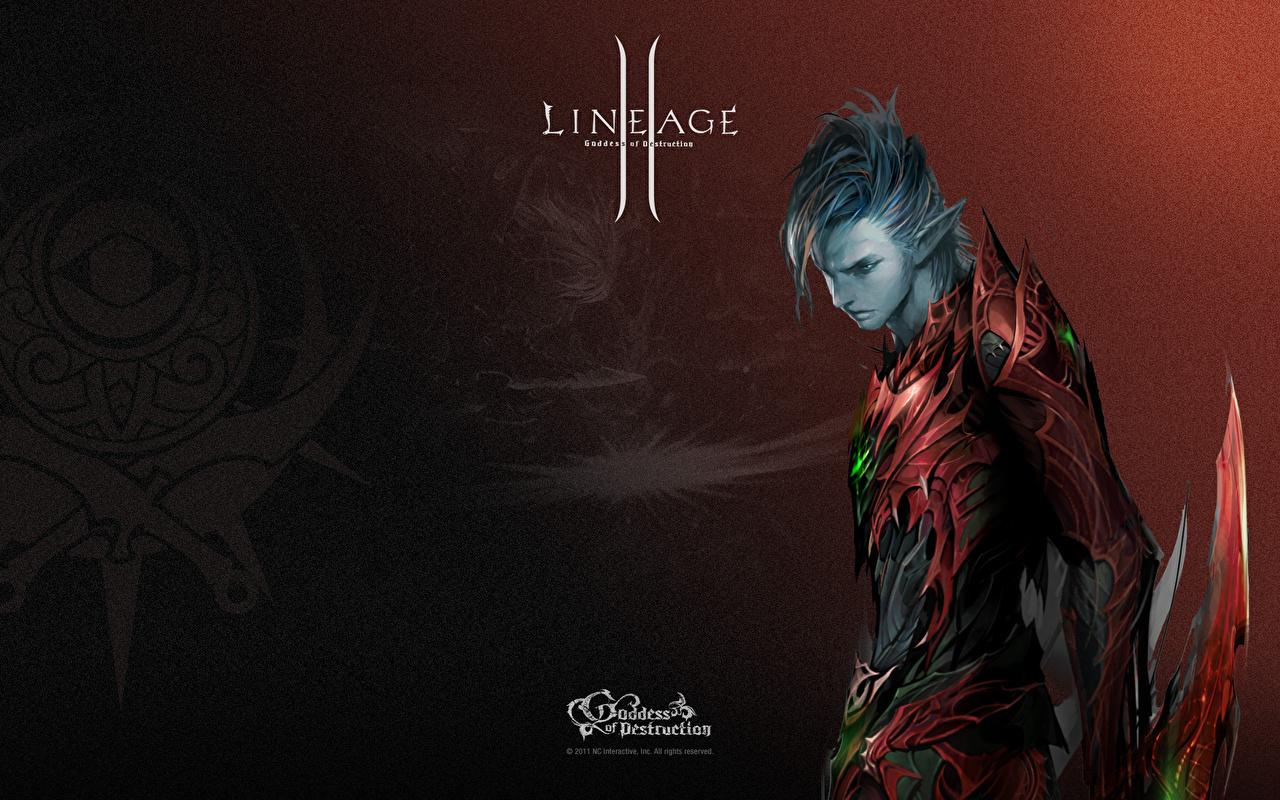 Lineage 2 wallpaper picture download