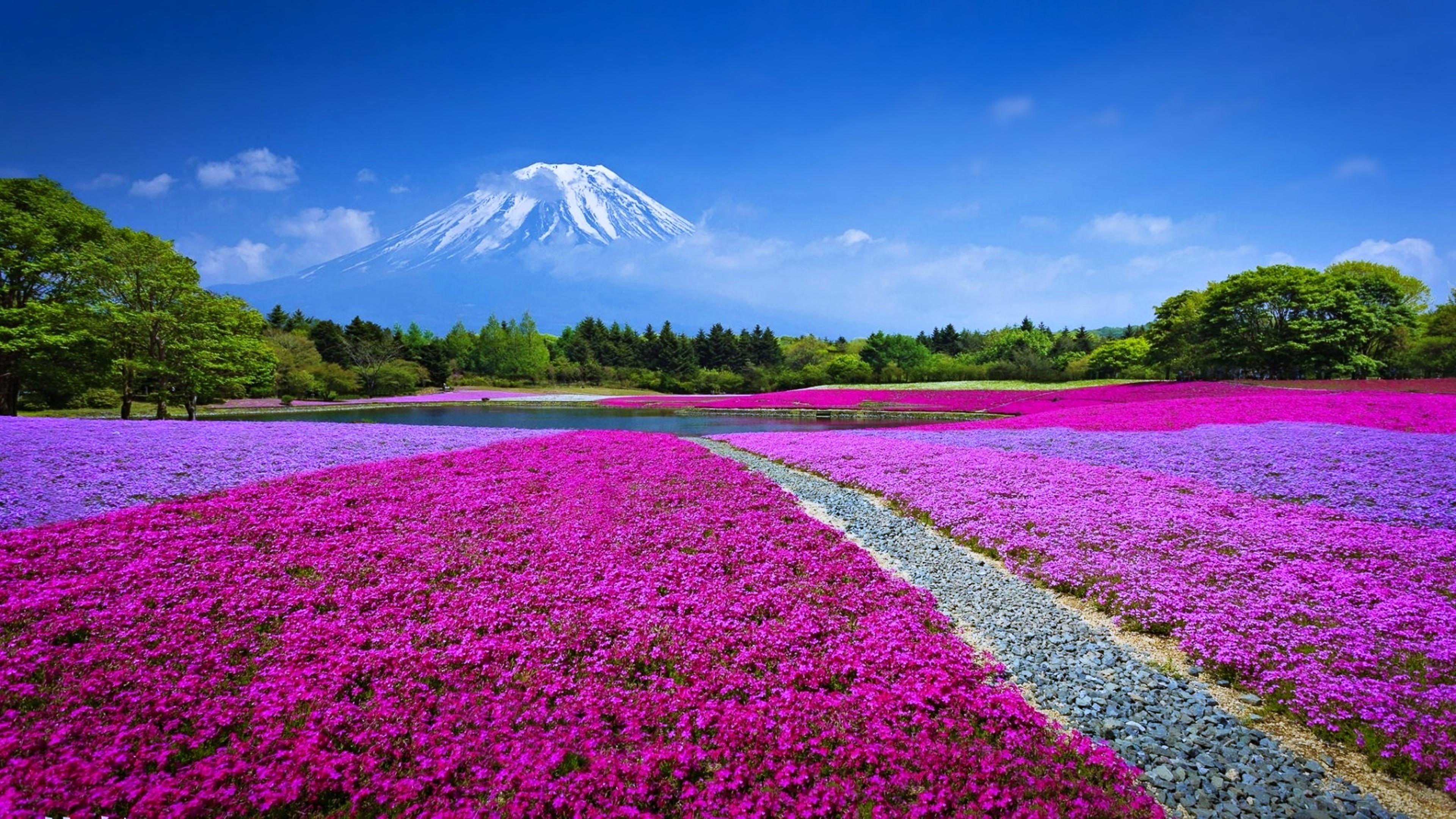 Mount Fuji Landscape, Japan 4K UltraHD Wallpaper. Wallpaper Studio