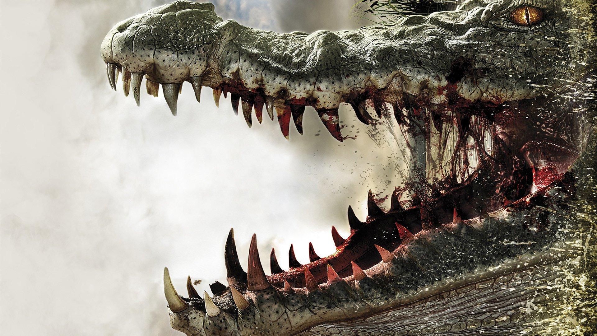 Alligator HD Wallpaper and Background Image