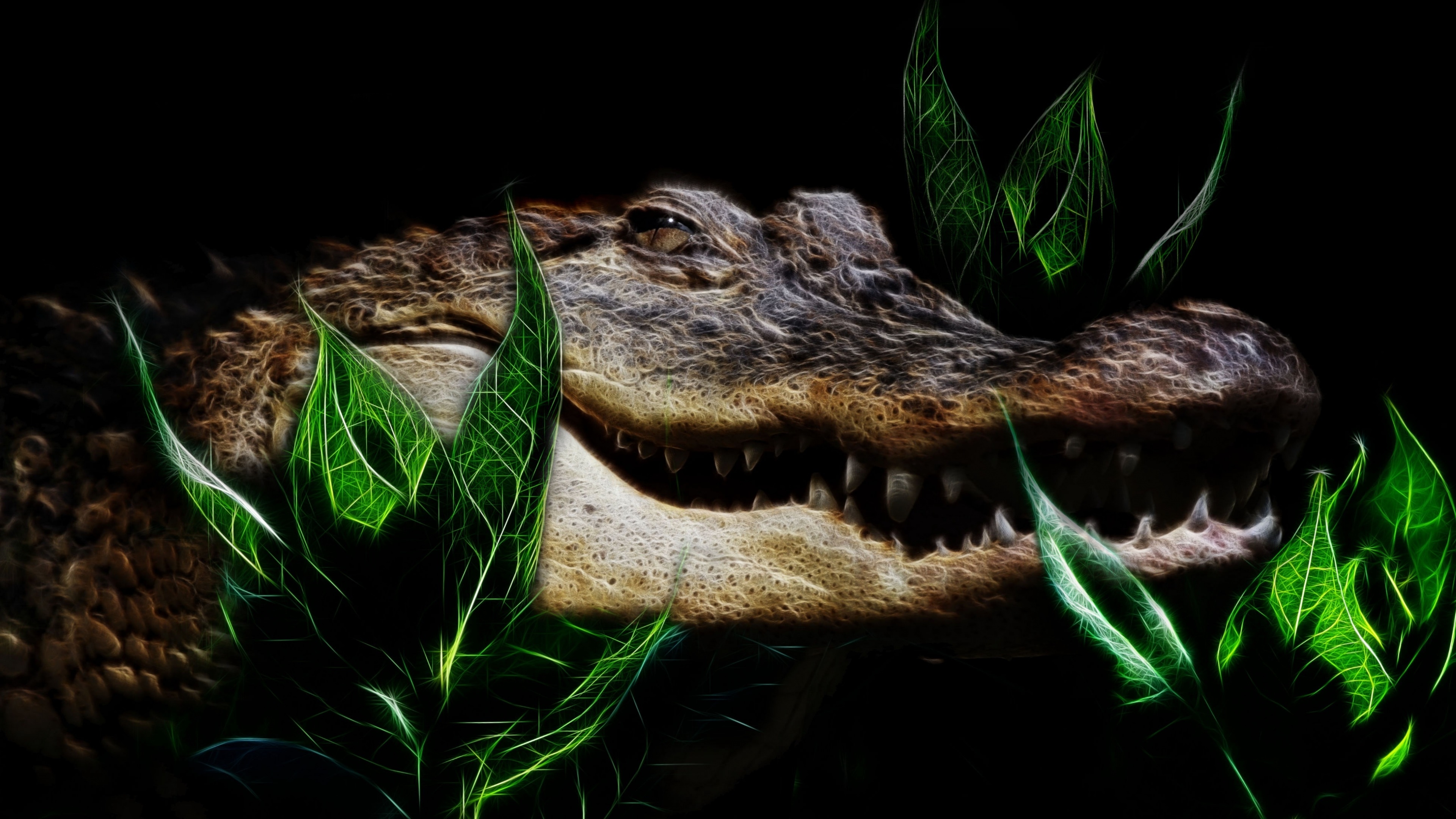 Крокодил HD