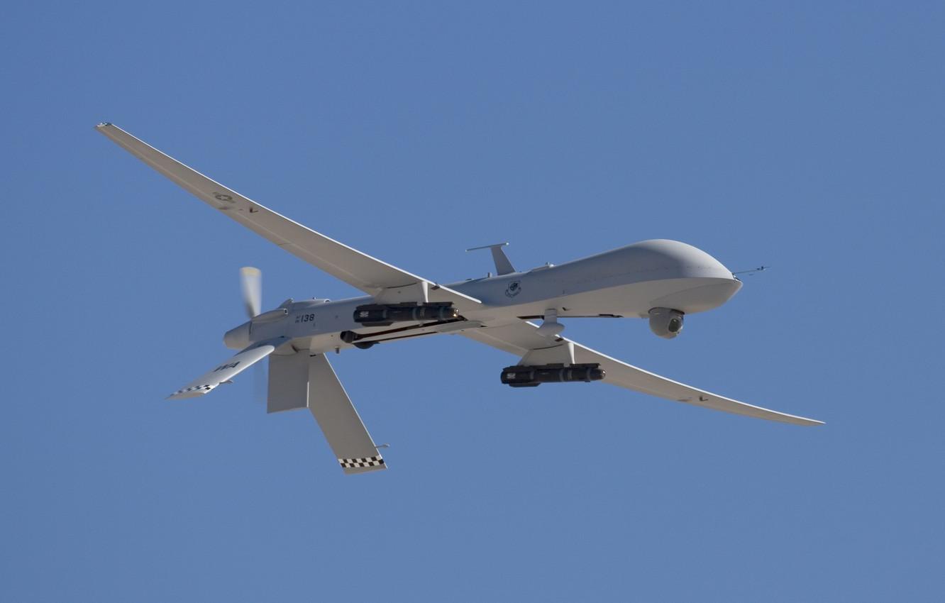 Wallpaper predator, American, multipurpose, unmanned aerial vehicle