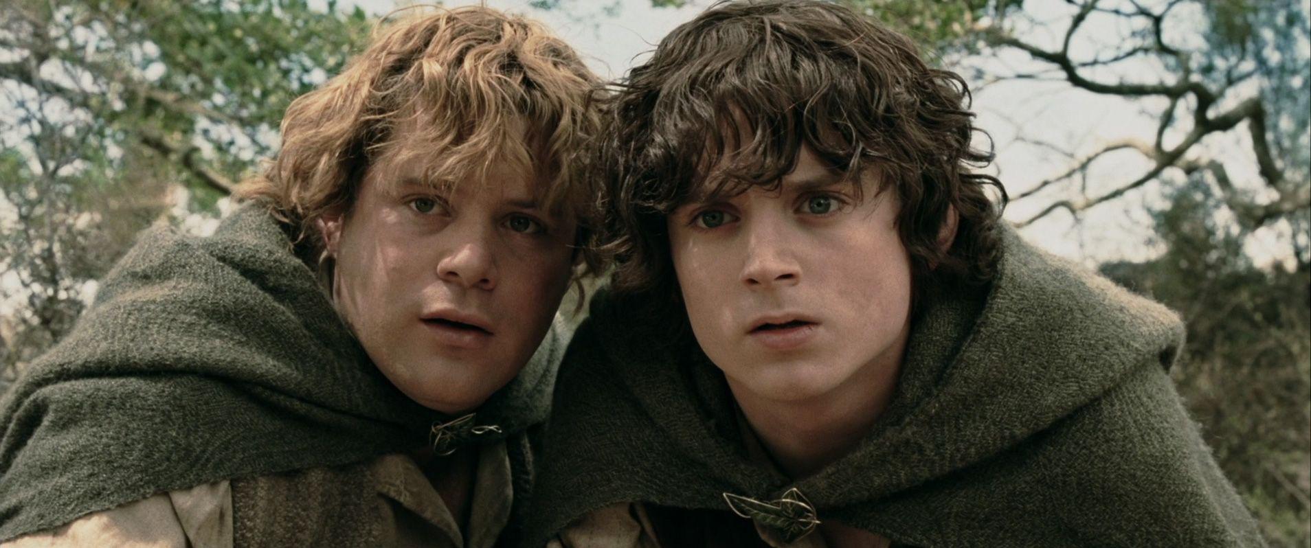 Frodo & Sam image LOTR: The Two Towers HD wallpaper and background