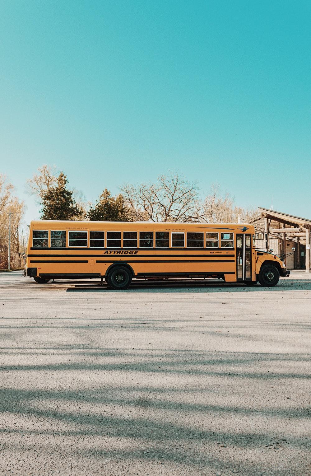 School Bus / Toronto photo