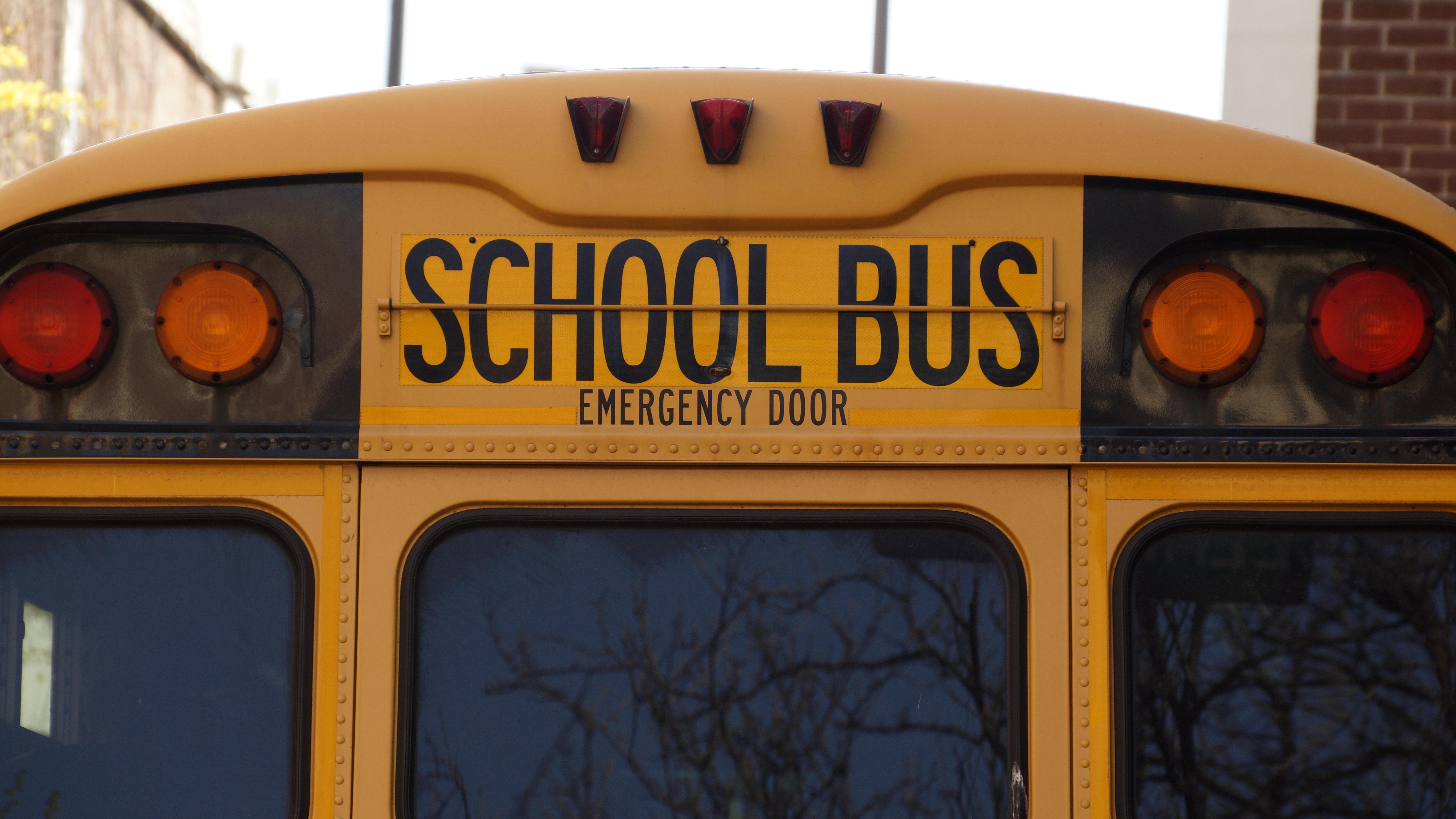 Engaging School Bus Photo