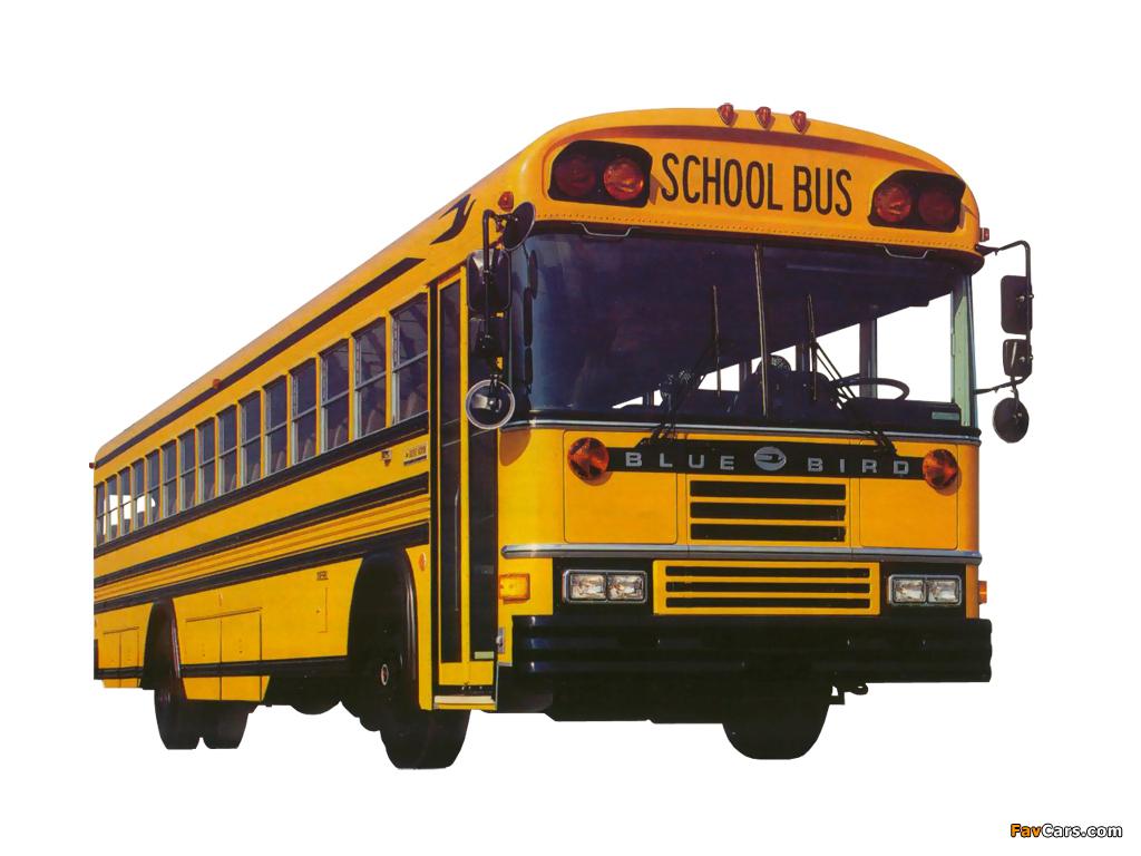 image of Blue Bird All American RE School Bus 1989–