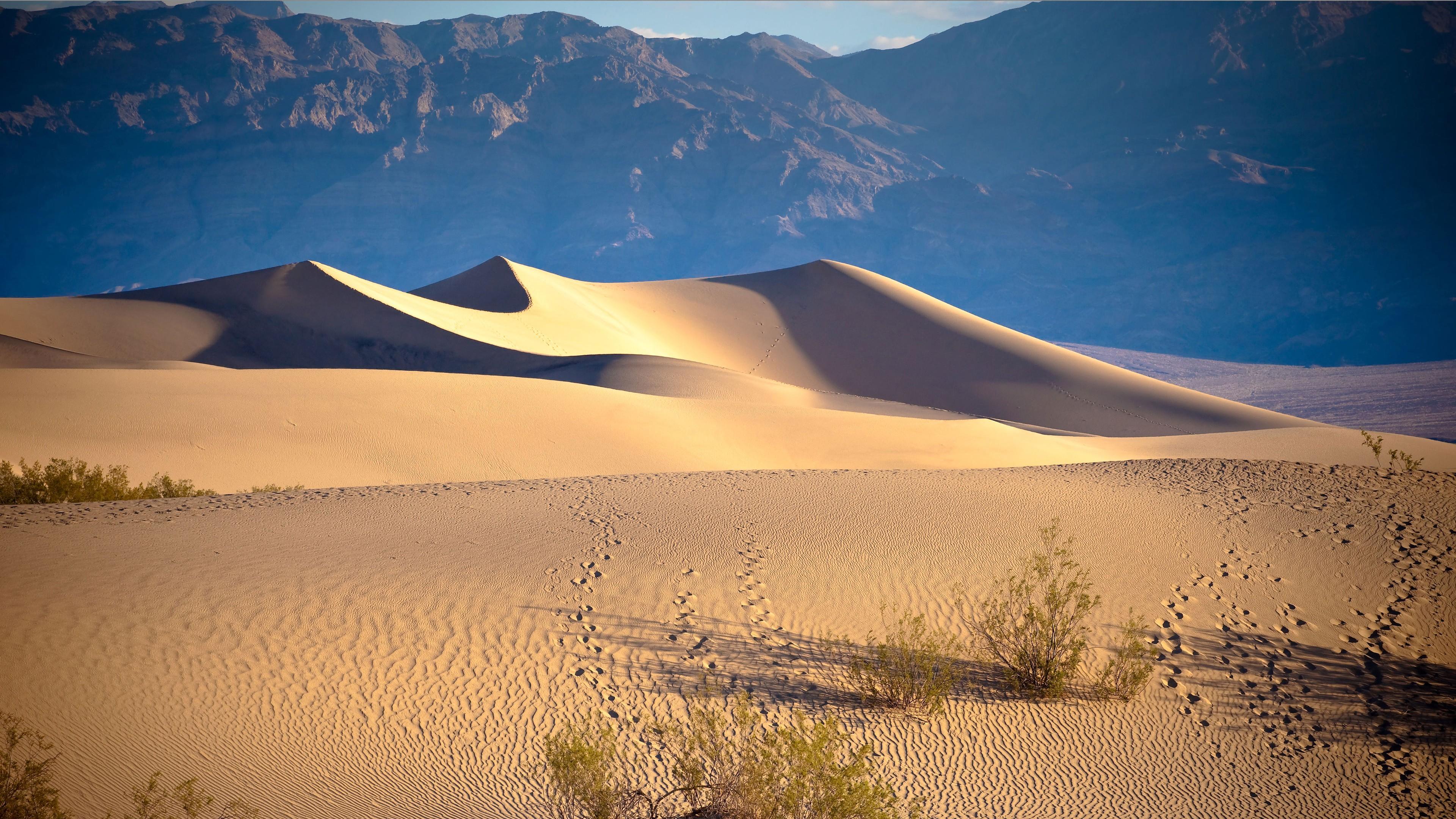 Wallpaper Death valley, 5k, 4k wallpaper, USA, desert, sand