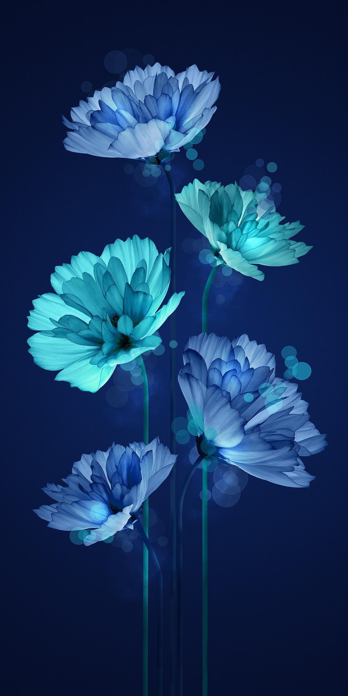 My Wallpaperblog: Wallpaper IPhone Flower HD