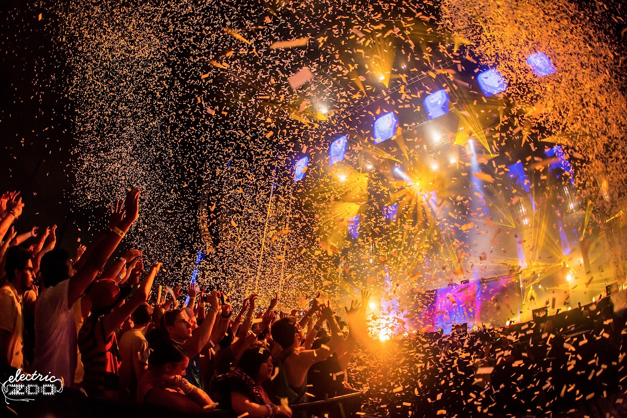 Your Guide to Electric Zoo 2018