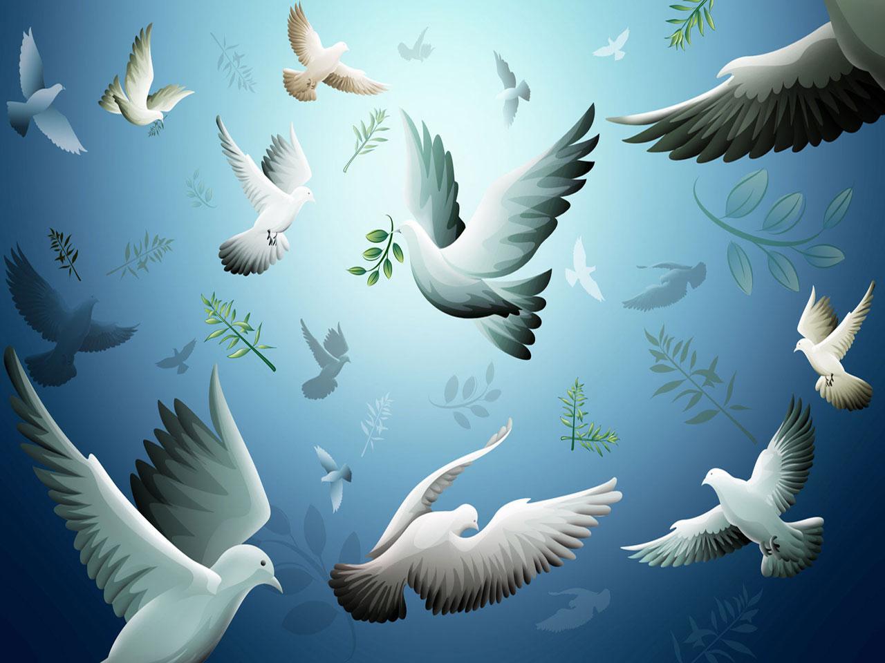 Animated Nature Wallpaper Animated Pigeons Wallpaper