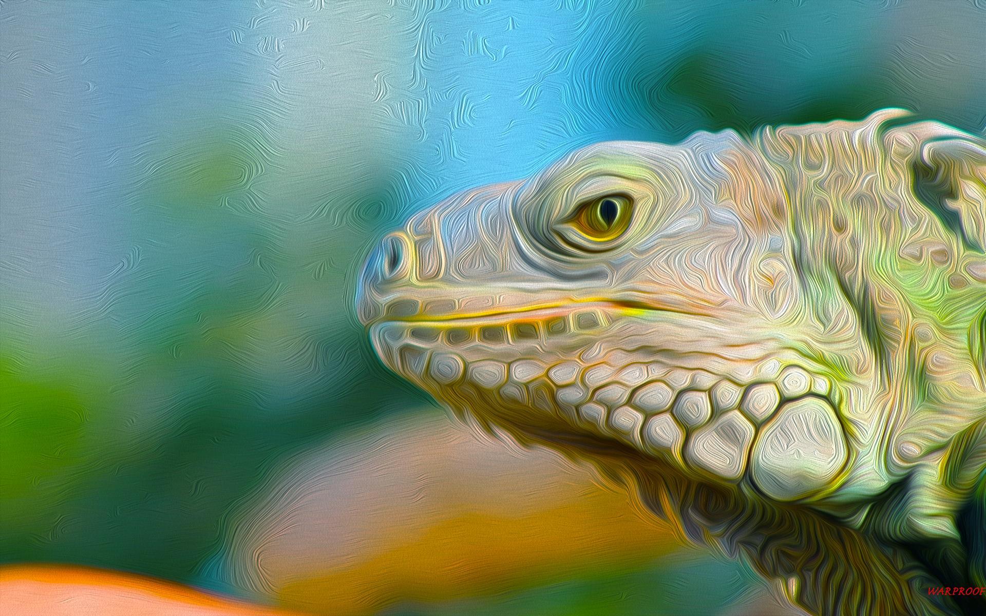 Iguana Wallpaper Image