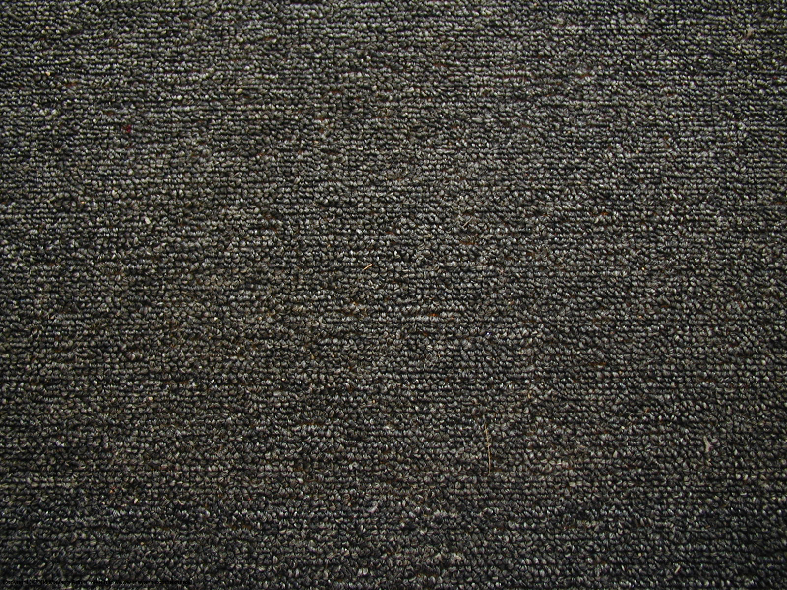 Carpet Wallpapers Wallpaper Cave