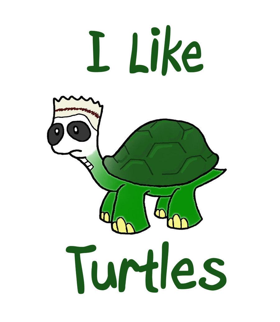 turtle wallpaper  Cute doodles drawings Cartoon turtle Cute turtle  cartoon