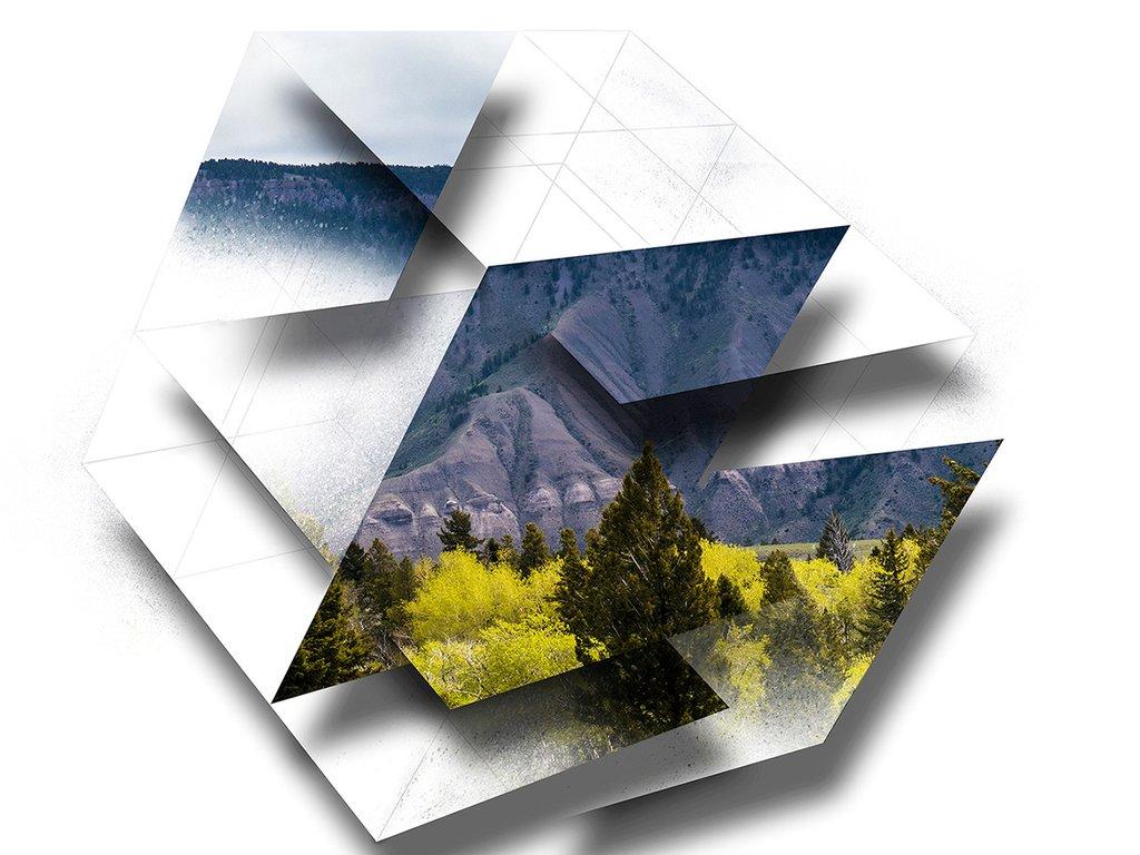 Lynette Miller Quantum Fluctuation