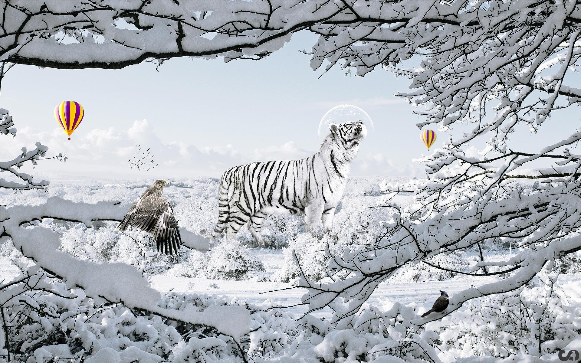 Tiger In Fantasy Wallpaper Photo Of Strong White Tiger HD