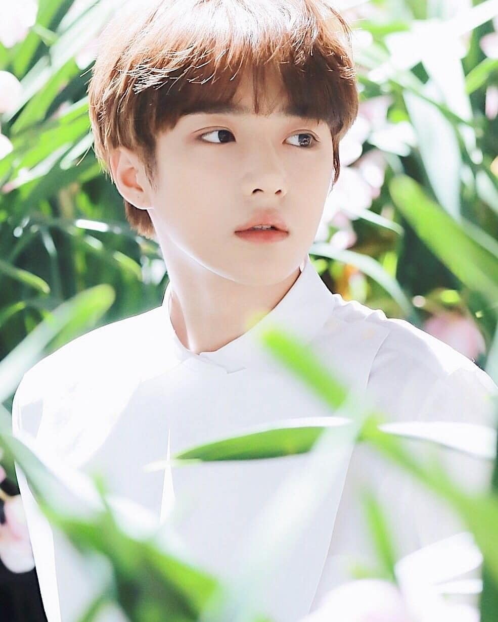 image and Videos tagged with #choi on Instagram