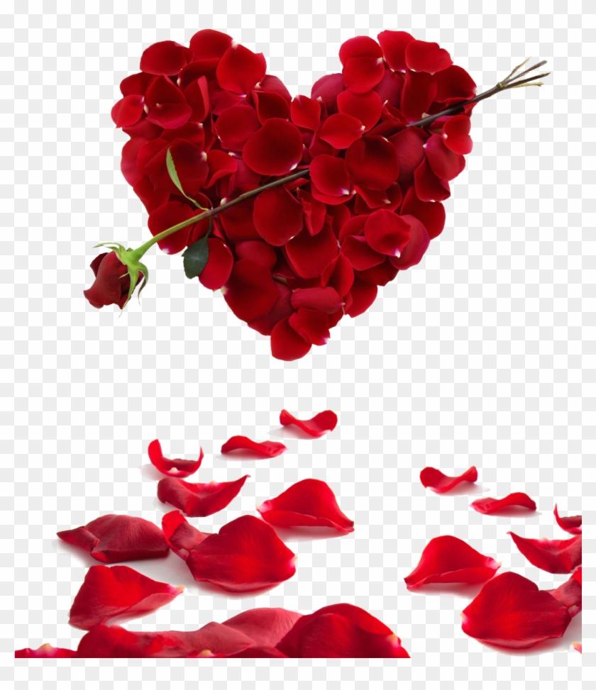 Rose Heart Flower Valentine's Day Wallpaper HD Image S