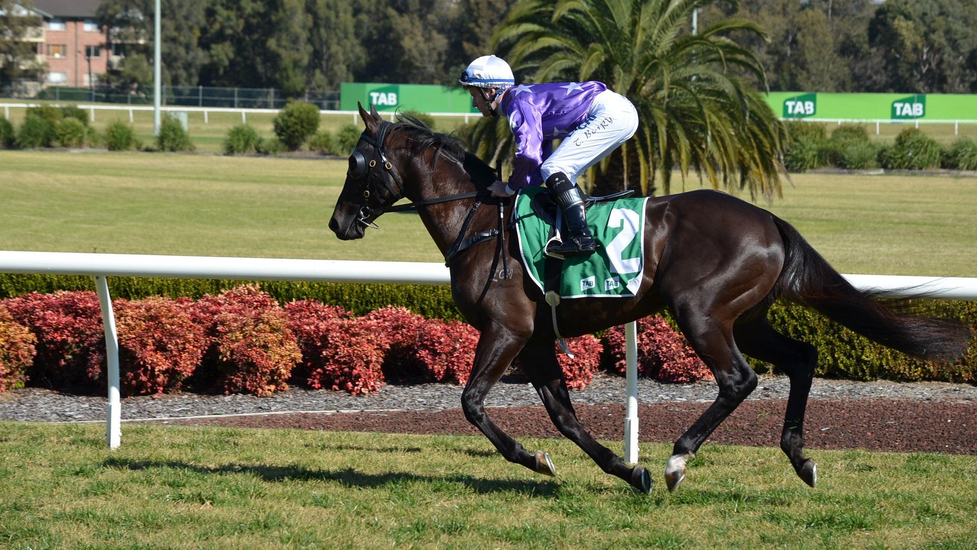 Horse Racing Wallpaper, Picture, Image