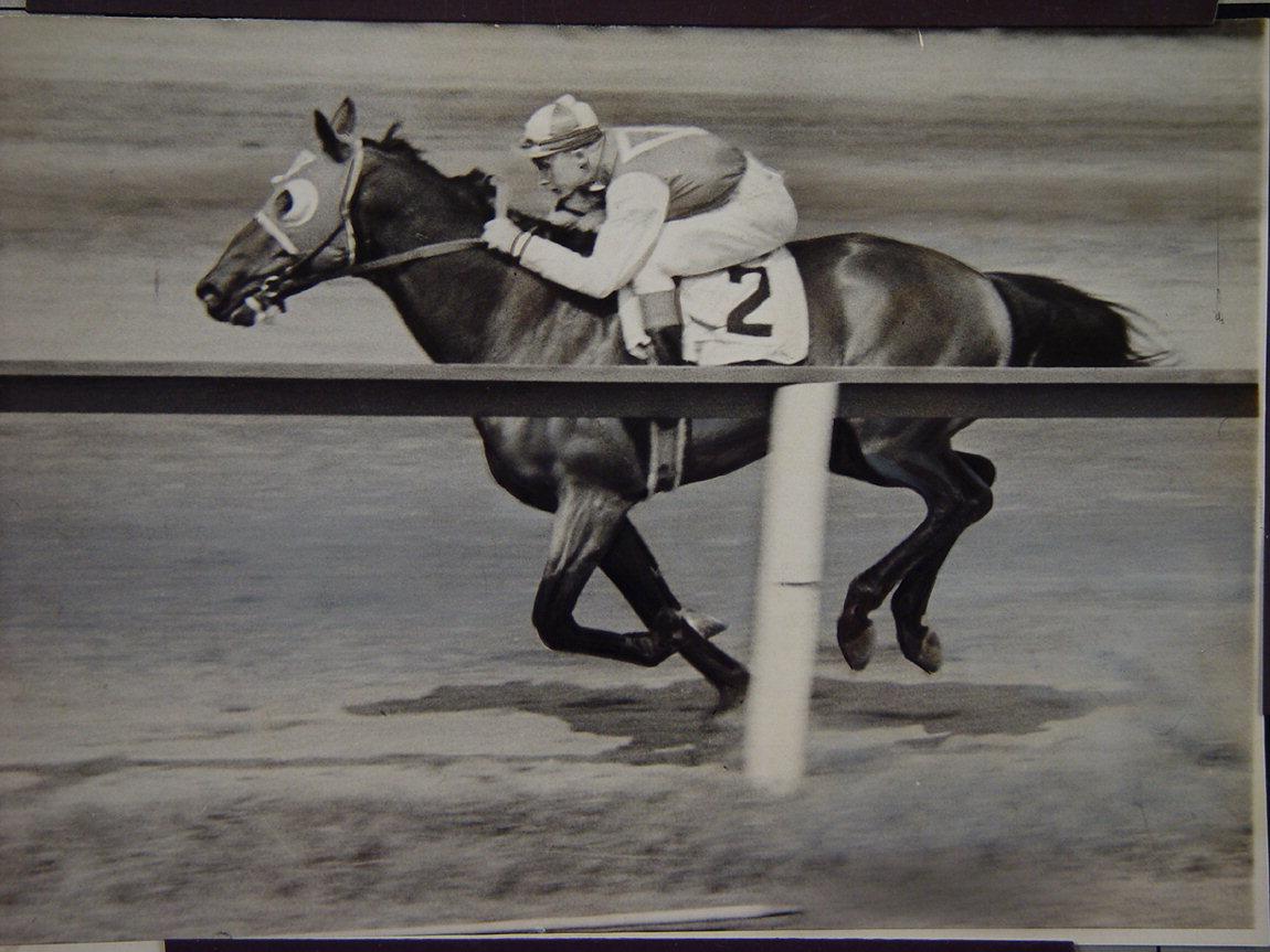 Nicest Wallpaper: Seabiscuit (Racehorse) Wallpaper