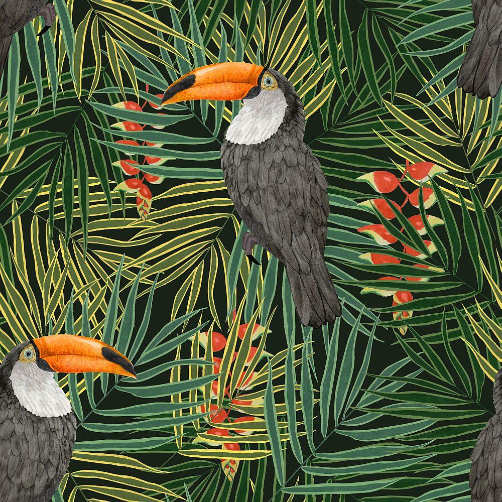 Toucan Wallpapers - Wallpaper Cave