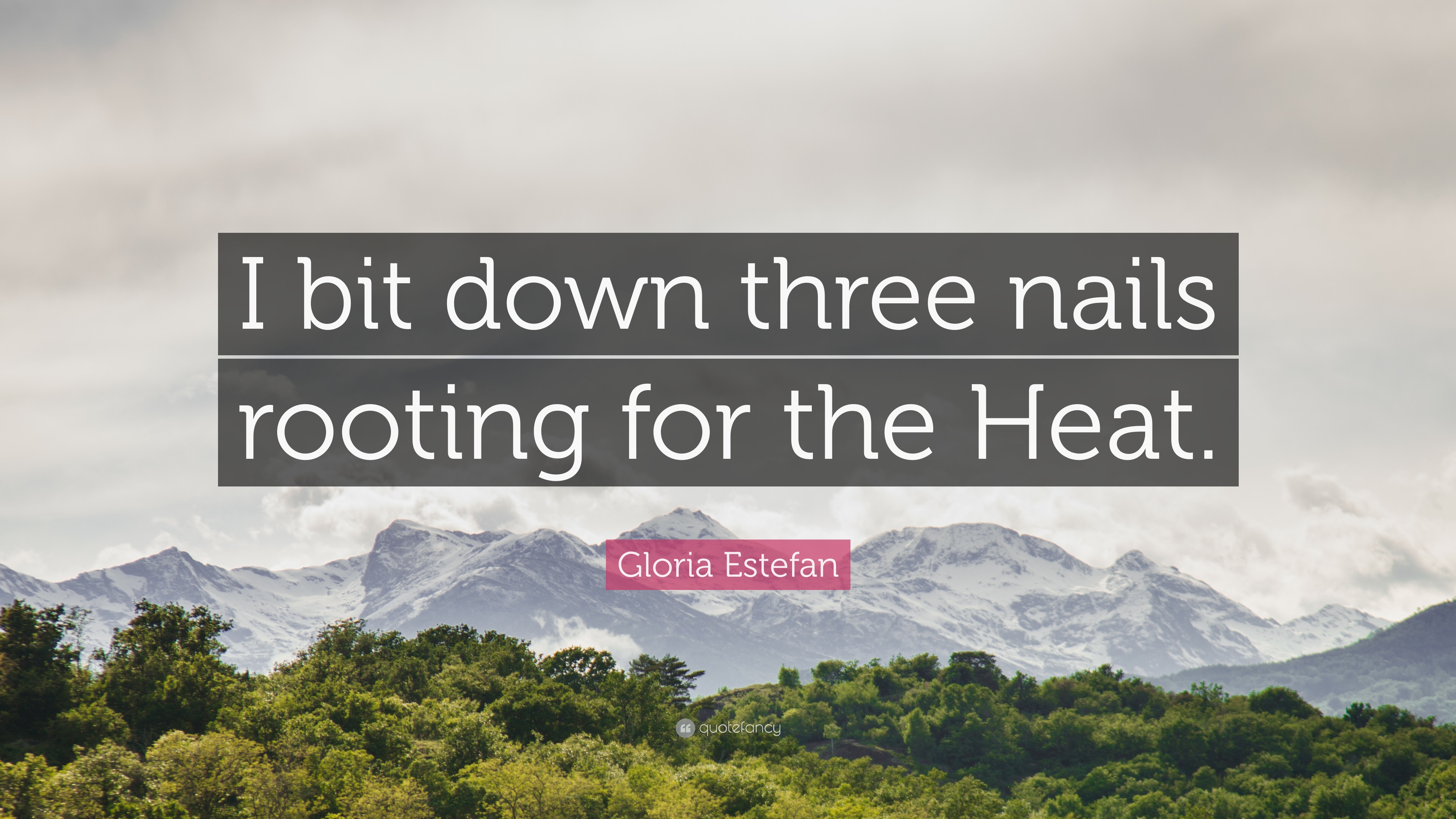 Gloria Estefan Quote: “I bit down three nails rooting for the Heat