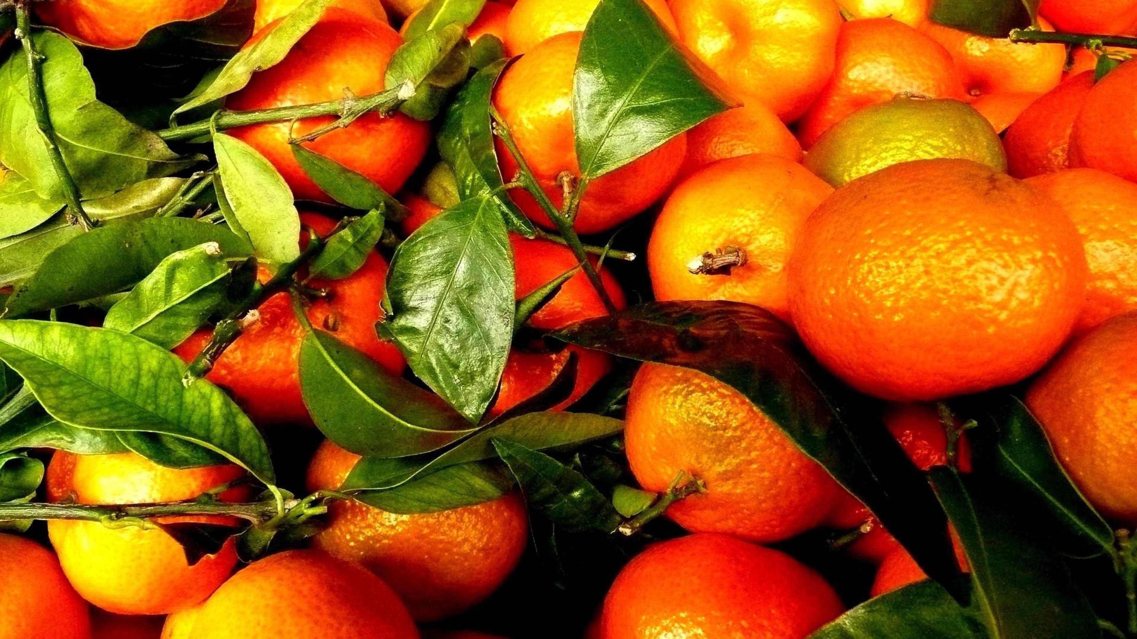 Мандарин обои. Цитрус мандарин (плоды желто-оранжевые). Мандарины Гранада. Цитрус мандарин Mandarine. Танжерин фрукт.