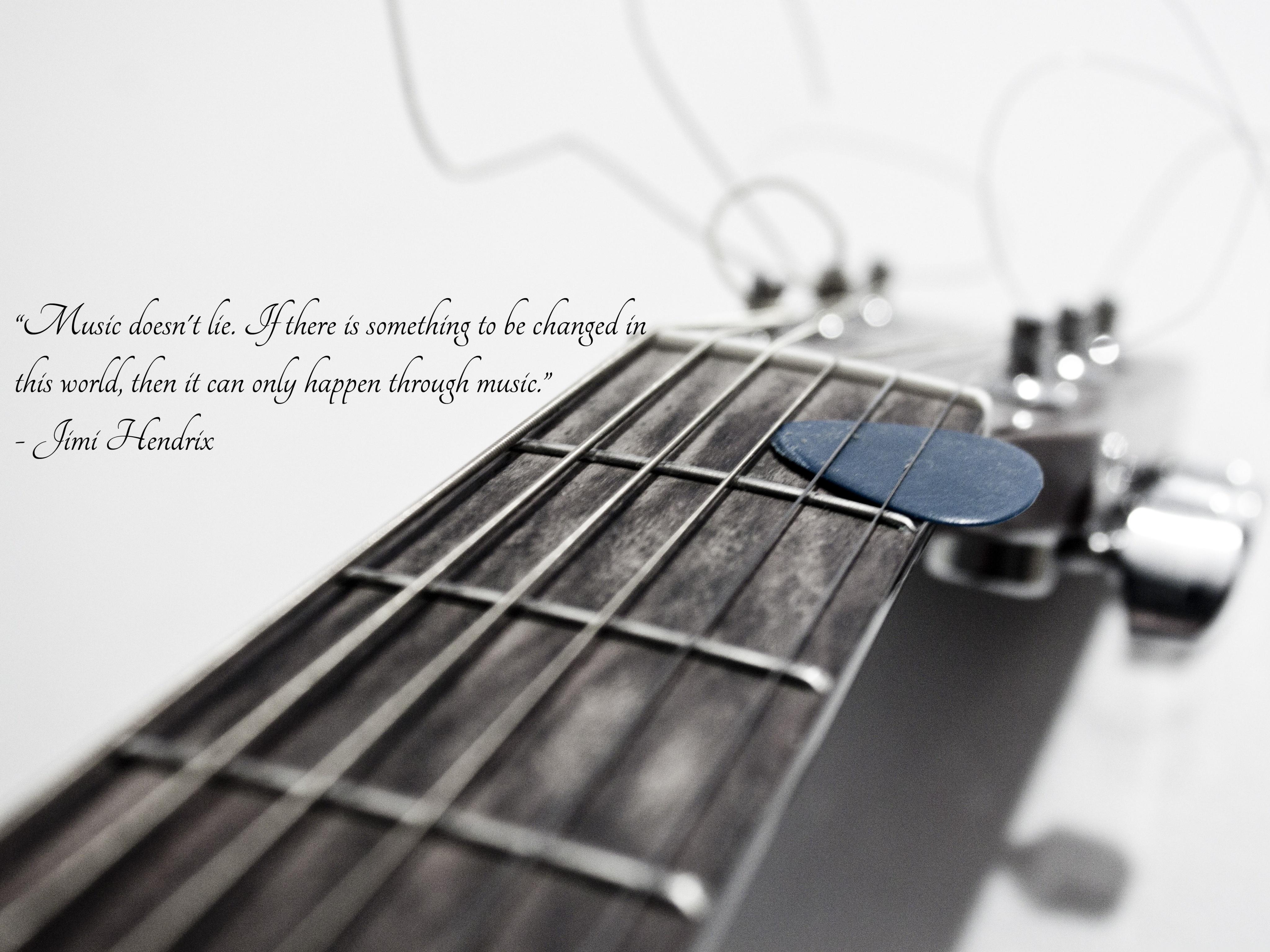 Musician Wallpaper and Background Image
