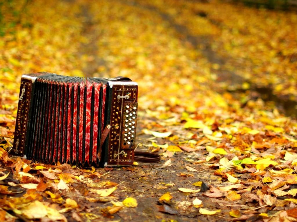 Accordion HD Wallpaper 13395