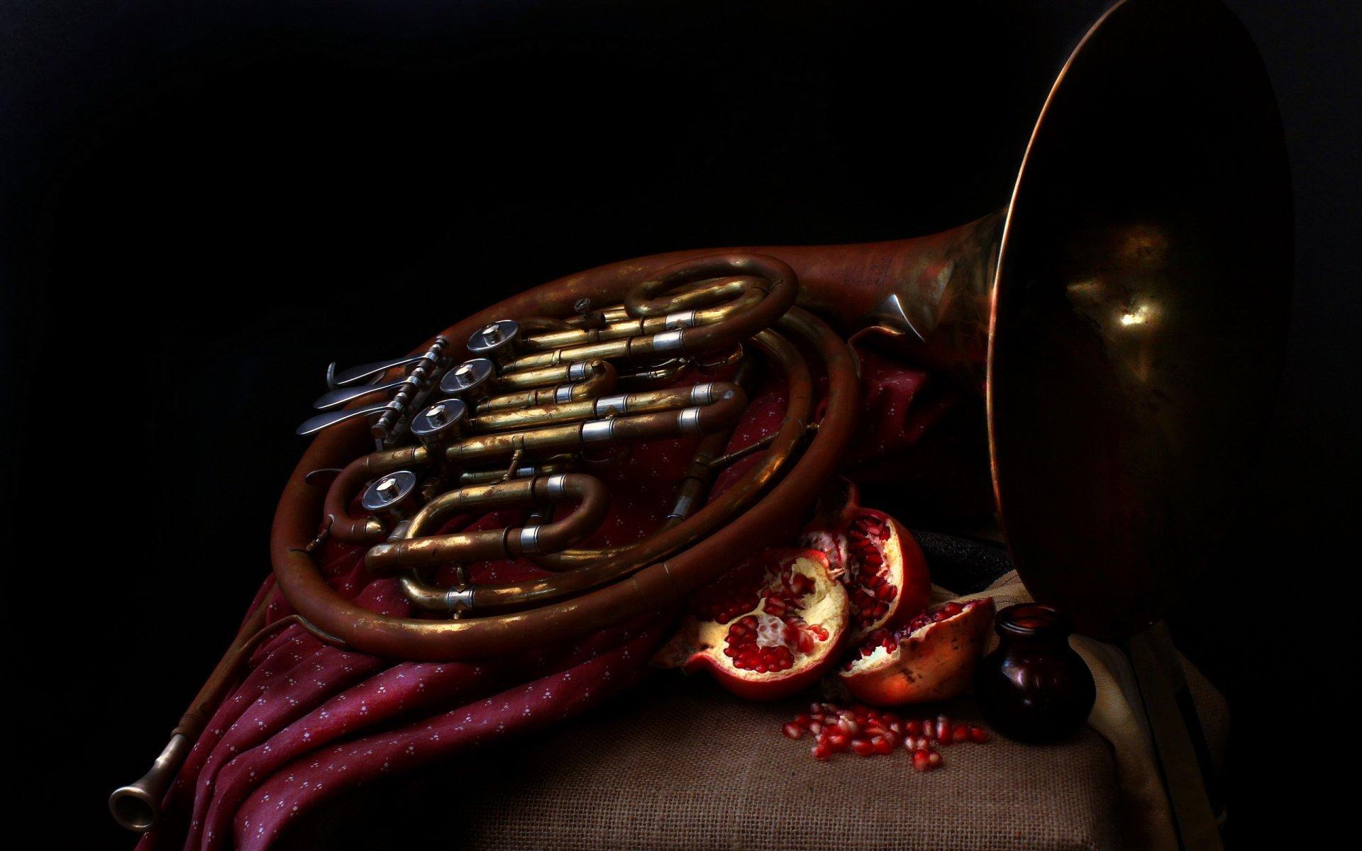 french horn pomegranates music HD wallpaper