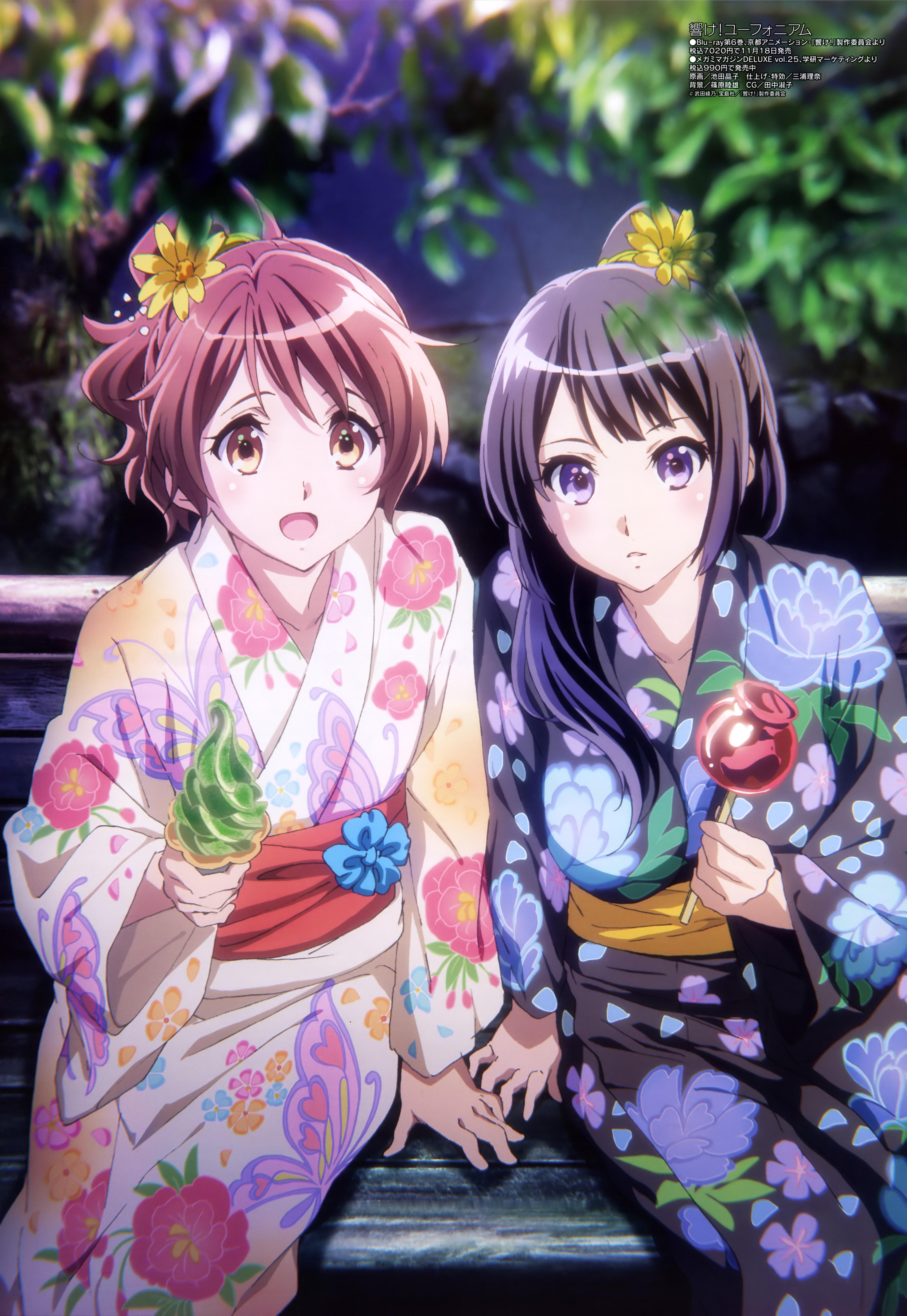 Hibike euphonium anime information