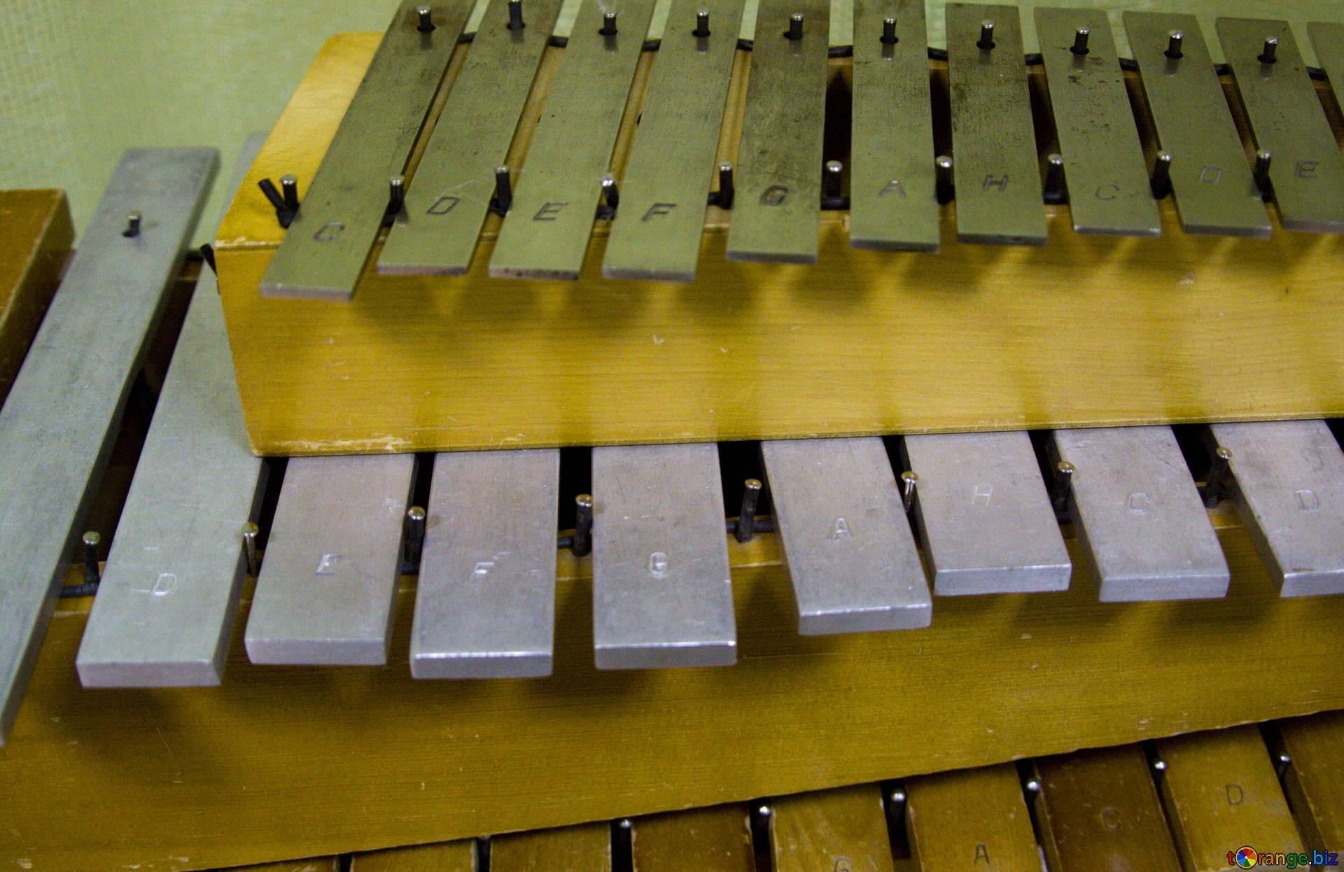 Musical instruments xylophone music № 11412