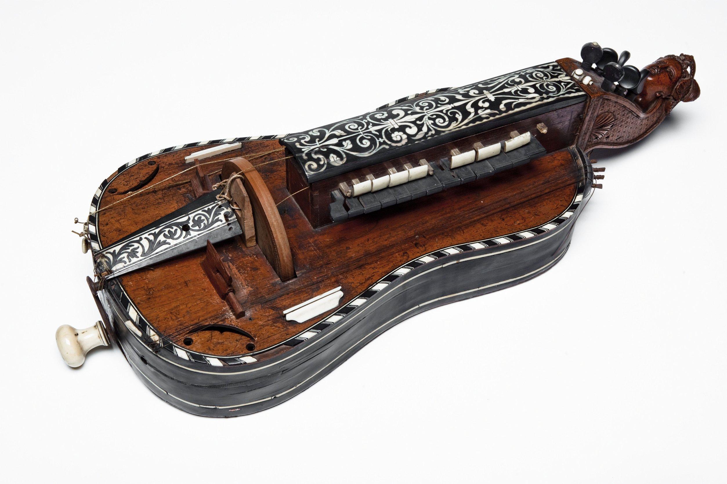 A Hurdy Gurdy Experience. To Protect And (Con)serve