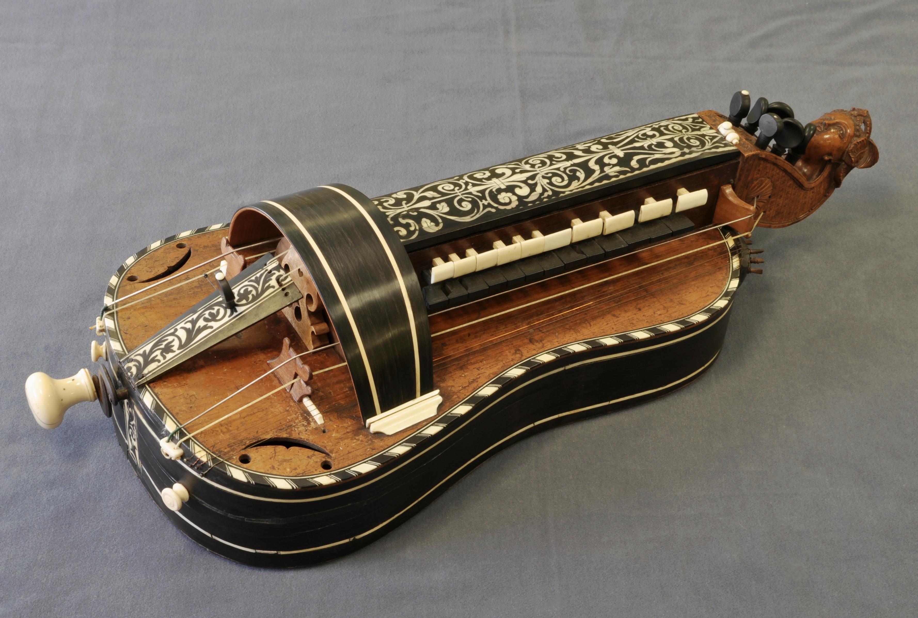 A Hurdy Gurdy Experience. To Protect And (Con)serve