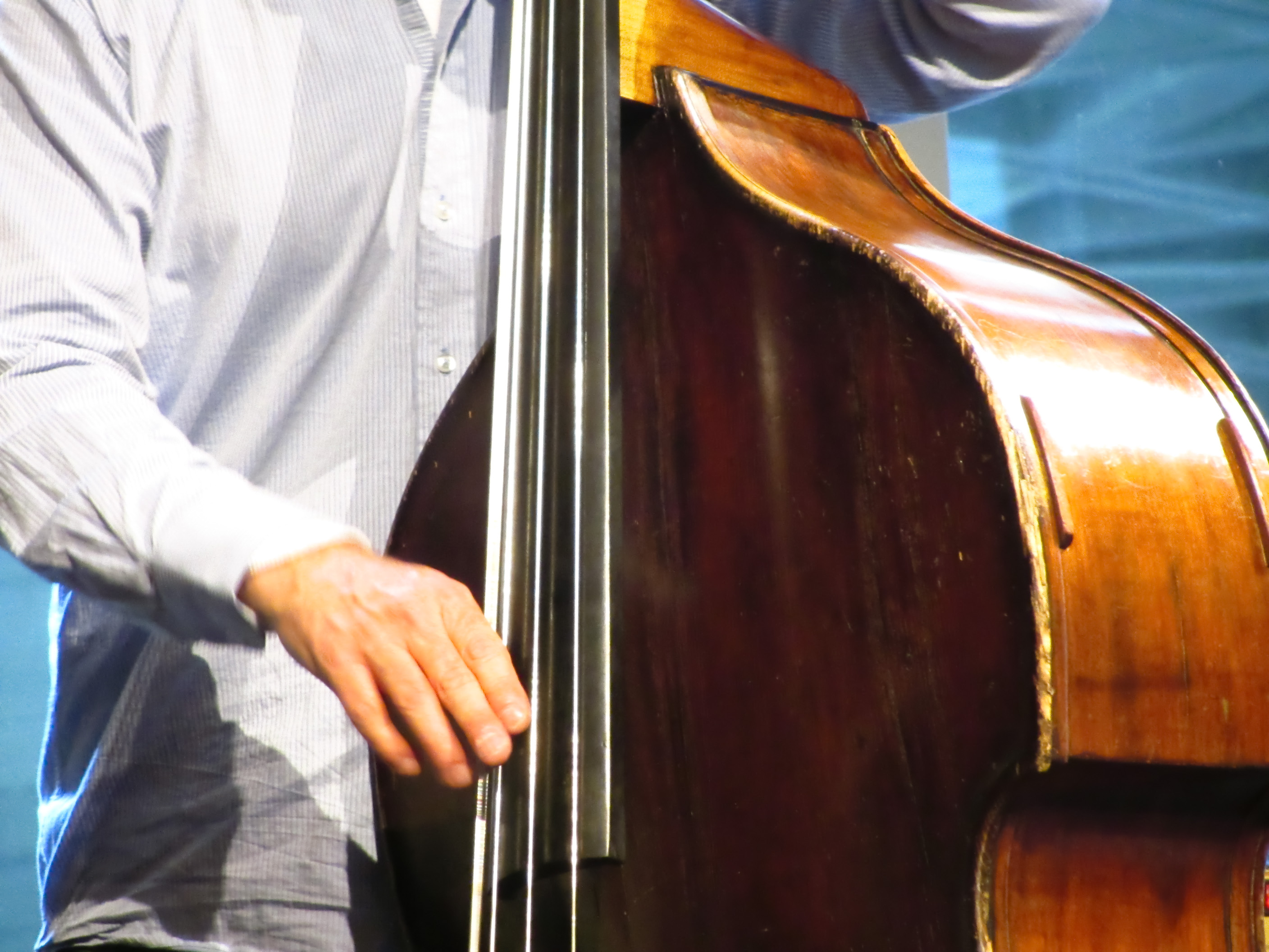 Double Bass (photo by Garry Knight)