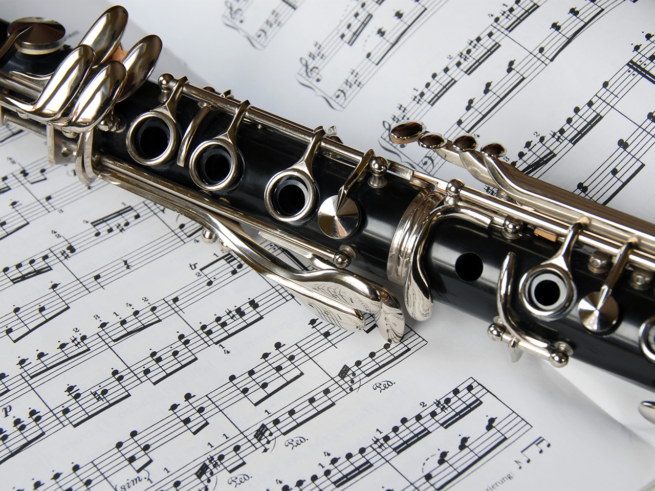 Which Musical Instrument Are You Suited For?