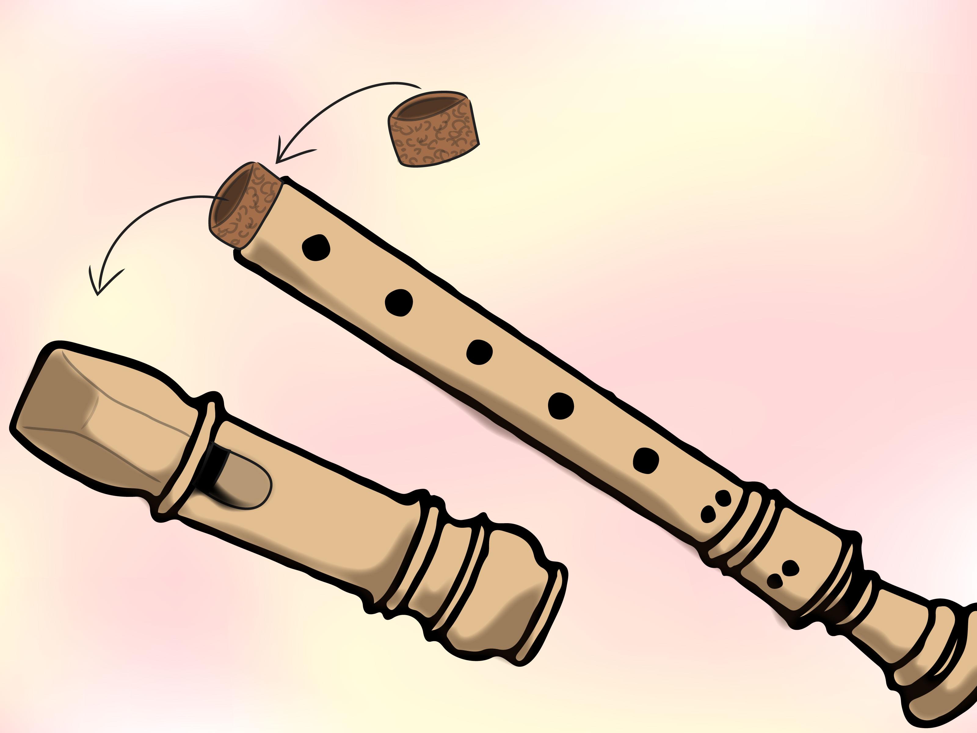 How to Take Care of Your Recorder: 9 Steps (with Picture)