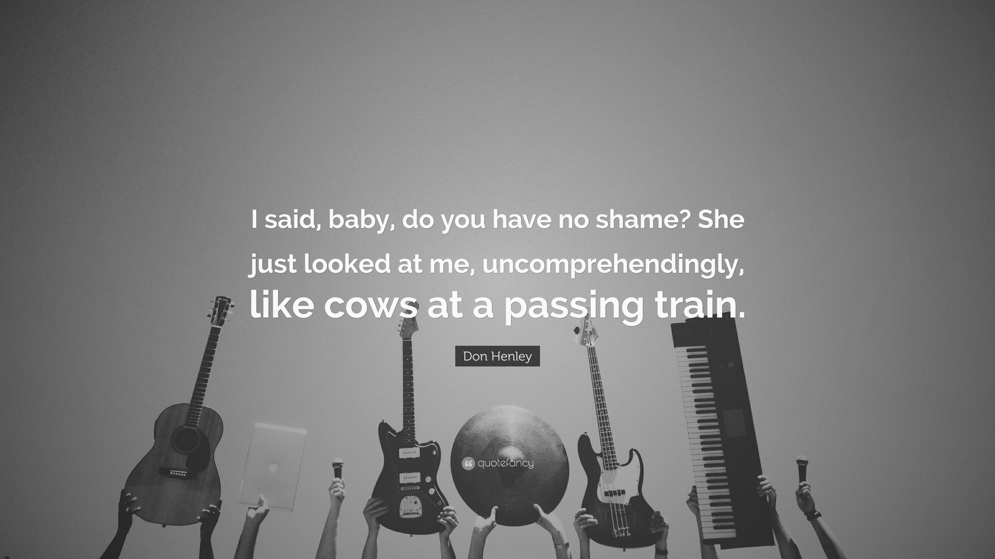 Don Henley Quote: “I said, baby, do you have no shame? She just